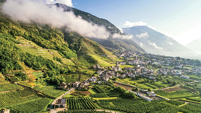 10 O.A.T. Adventures into the Great Wide Open