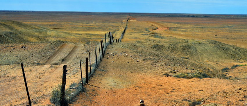 where is the dog fence australia