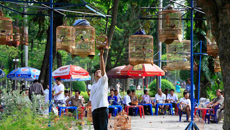 A Song for the Morning