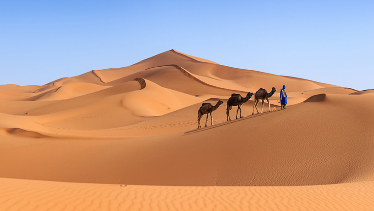 On Trend: Top 10 Journeys by Land, Sea & River
