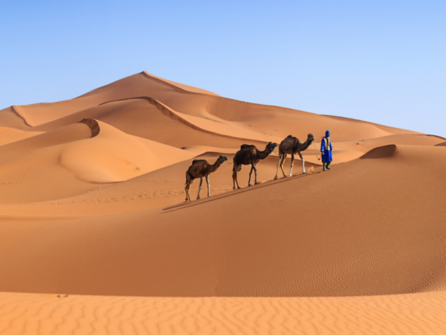 Morocco Sahara Odyssey