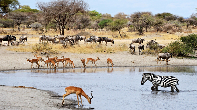 Our 10 Favorite Global National Parks