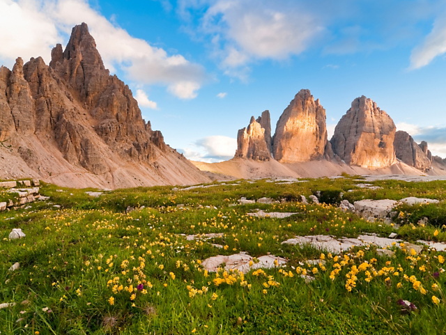 478d0afd47b24300af79af4f0169bbc8