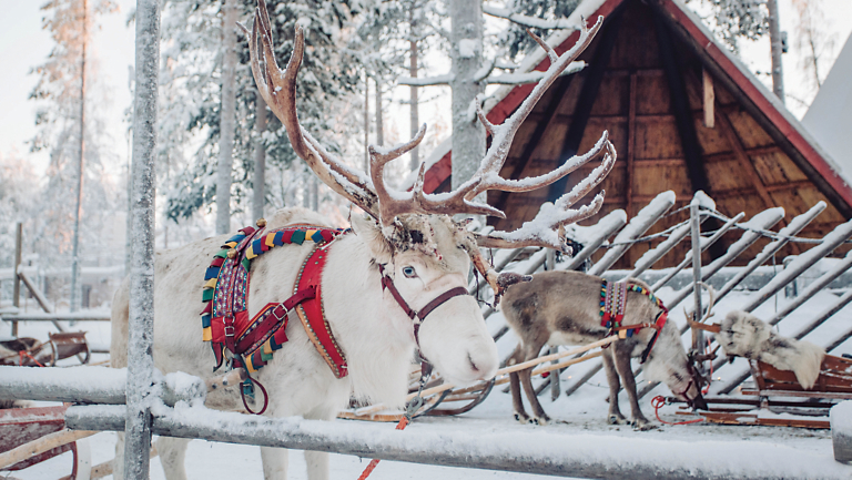 NEW Adventure: Finland’s Winter Wilderness: Northern Lights & Lapland Discoveries