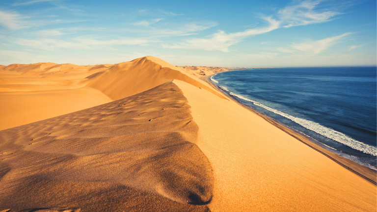 NEW Trip: From Vines to Dunes—Africa's Wild Southwest