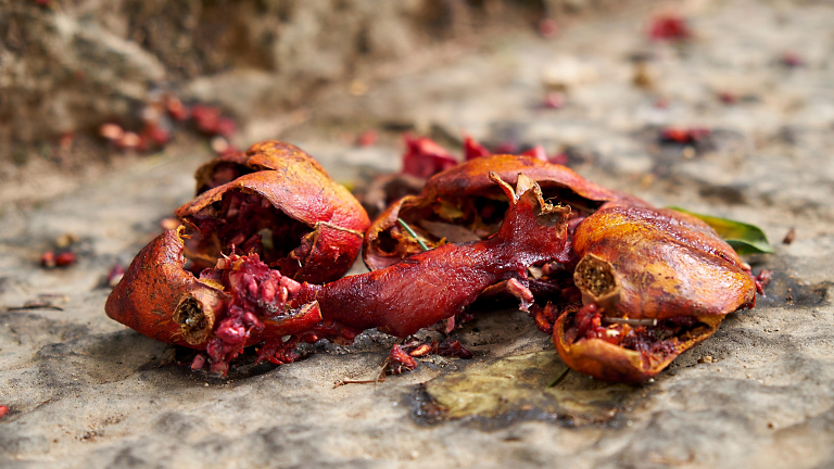 Smashing Success: Exploding Pomegranates is One (Greek) Way to Bring in the New Year