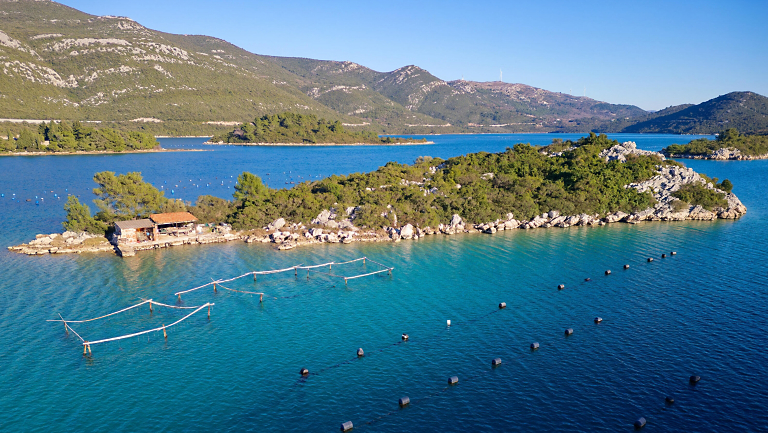 6 Special Departures by Sea and River for 2025