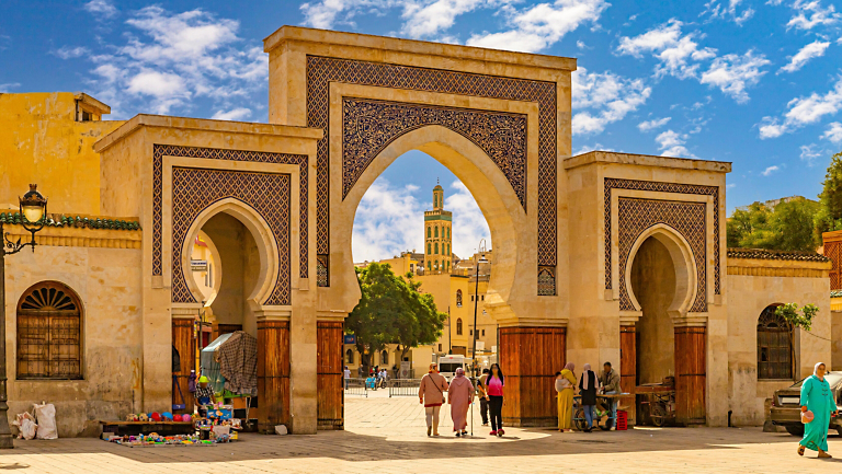 NEW! Immersions: 8- to 12-Day Adventures