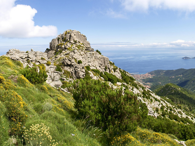 7398e820bc0d406bb028b2bb01290e23