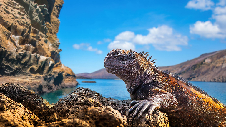 Nature is Number One