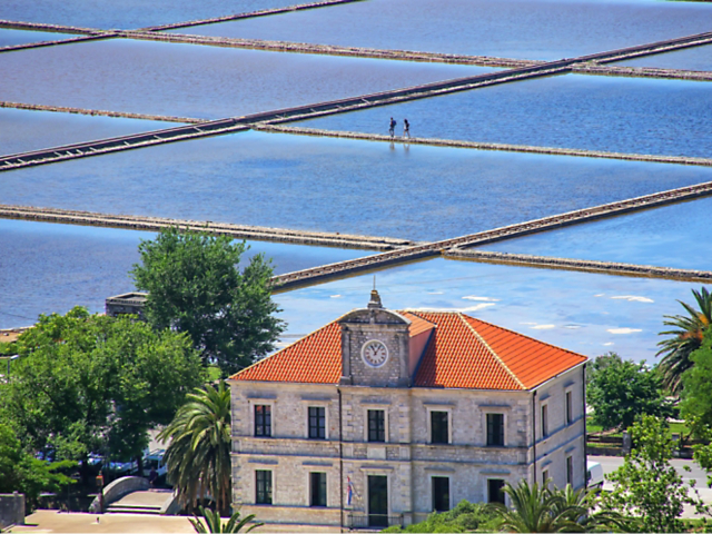 a85cdba7d33246eb8ee3b34101433da8