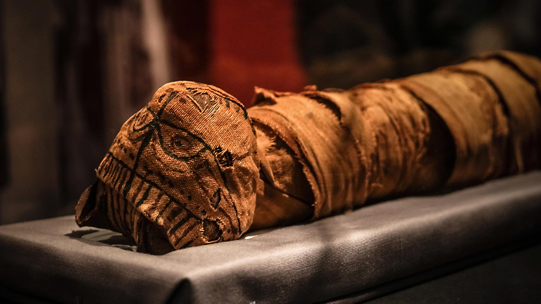 Nine Lives along the Nile: Cats in Ancient Egypt