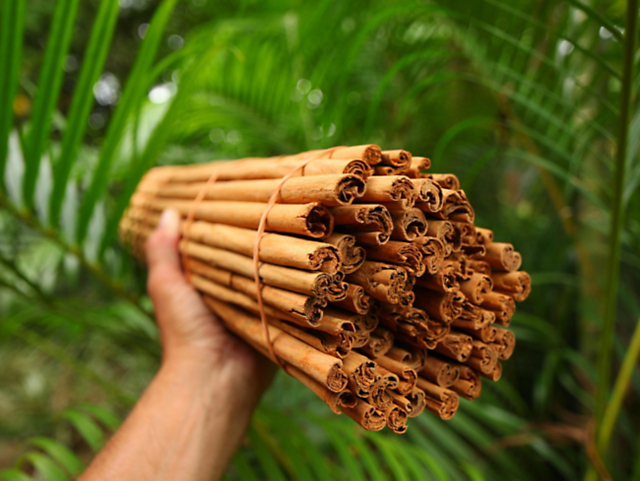 01dc113c84ec4a9ebd4ab3cb015ad812