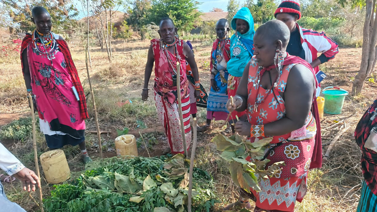 Seeds of Strength: Empowering Women Farmers in Kenya