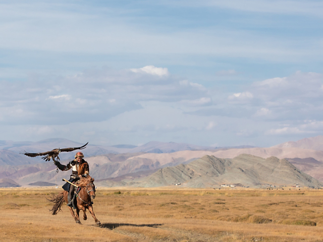 dbc3c3c0141f42dfbe0fb401014af809