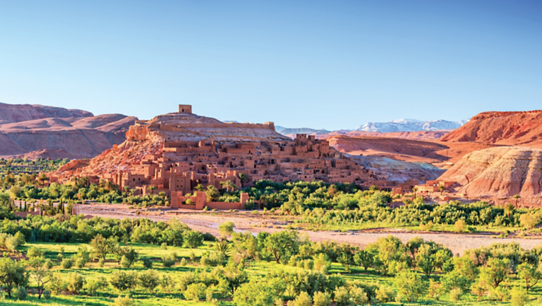 Animal Planet: 10 Beloved National Animals