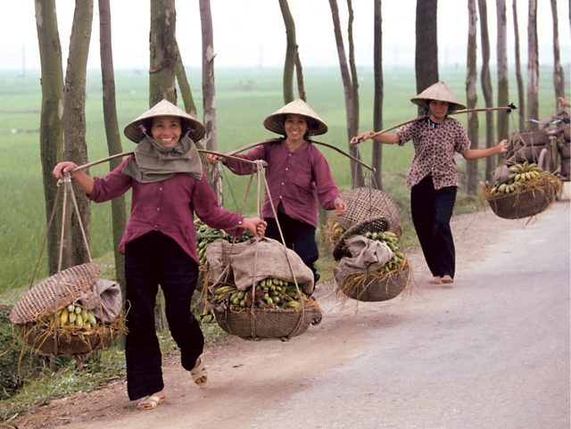 208d459a28f246f08126af4f00cc42e4