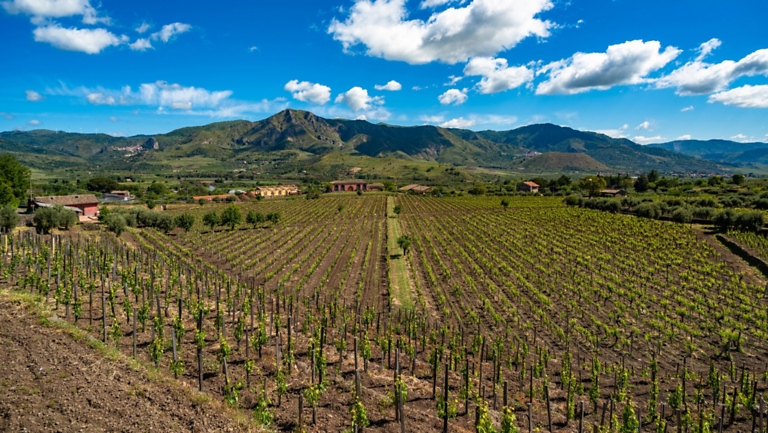 In the Shadow of "Mama Etna": Why Sicilians Just Go With the Flow