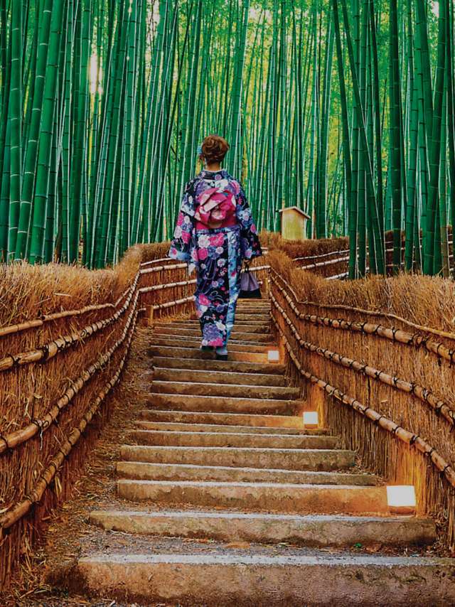Traveler walking up a stone pathway through a towering bamboo forest.