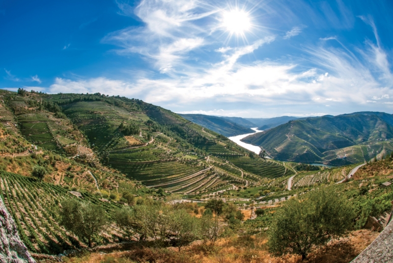 oat tours in portugal